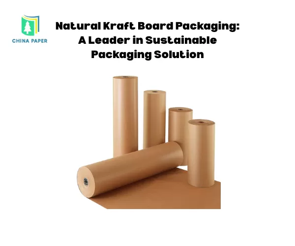 Envase de cartón kraft natural: líder en soluciones de embalaje sostenible