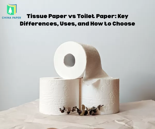 Papel tisú vs papel higiénico: diferencias clave, usos y cómo elegir