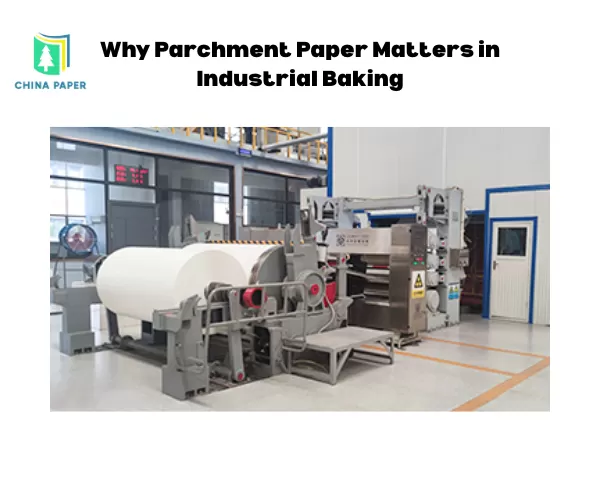 Por qué el papel de pergamino es importante en la panadería industrial
