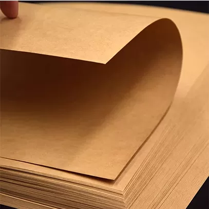 Papel kraft absorbente