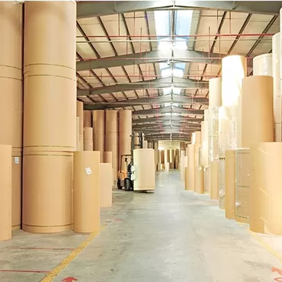 Papel kraft absorbente