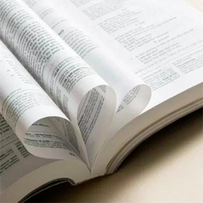 papel biblia
