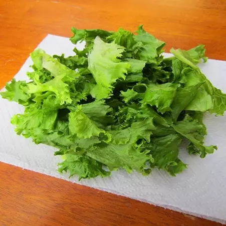 Culinaria y preparación de alimentos