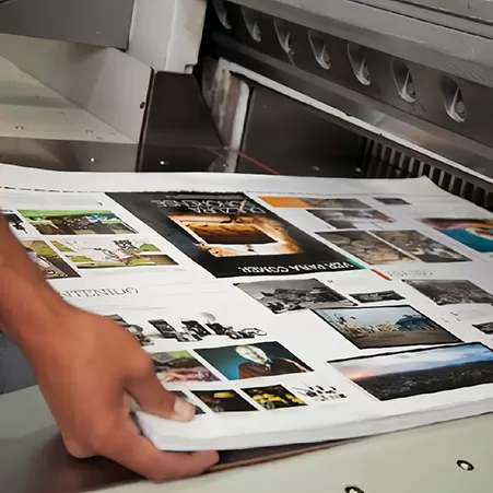 Revistas