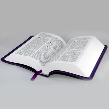 Libros de Estudio y Referencia Religiosos