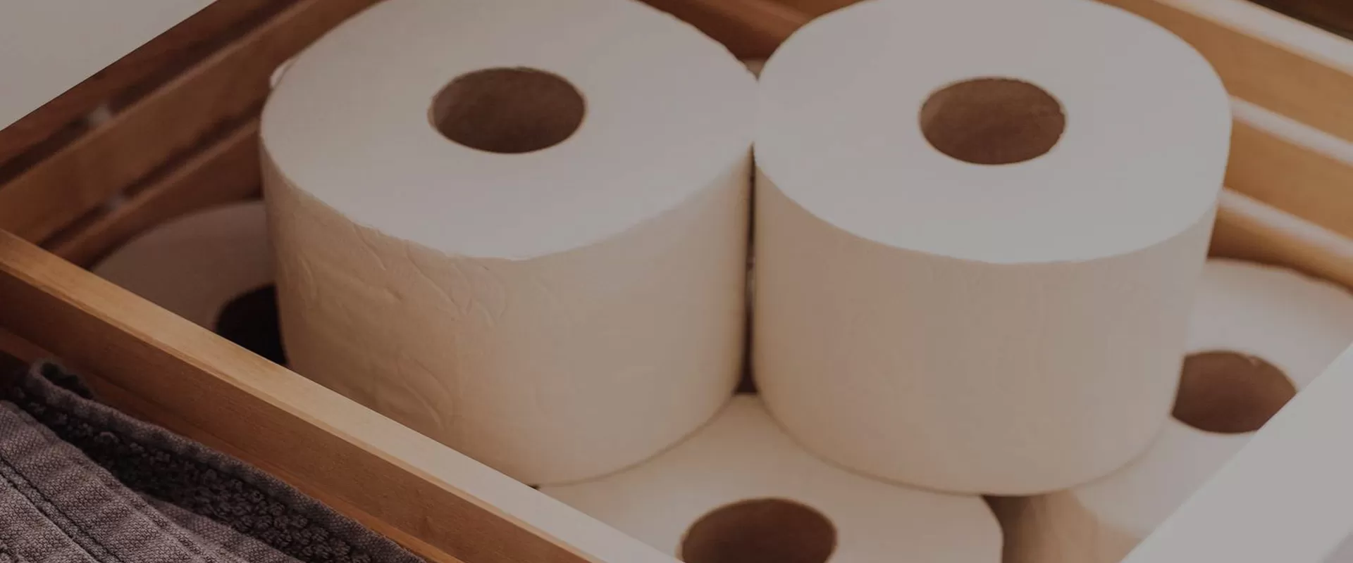 Proveedor de papel tisú | China Paper