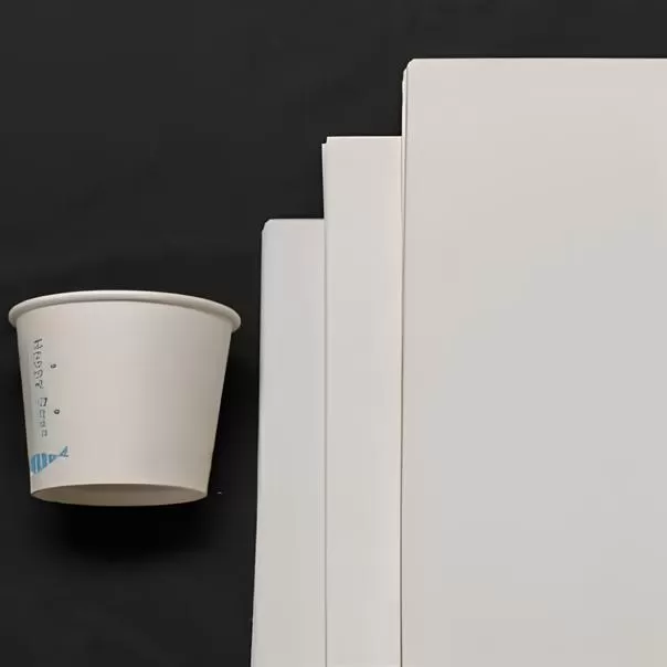 Papel base cupstock sin recubrimiento
