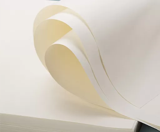 Papel offset sin madera